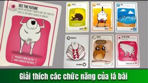 Giải thích các chức năng của các lá bài