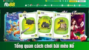 Tổng quan cách chơi bài Mèo nổ cho người mới